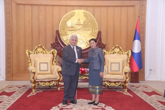  Vice President Bids Farewell to Outgoing Austrian Ambassador